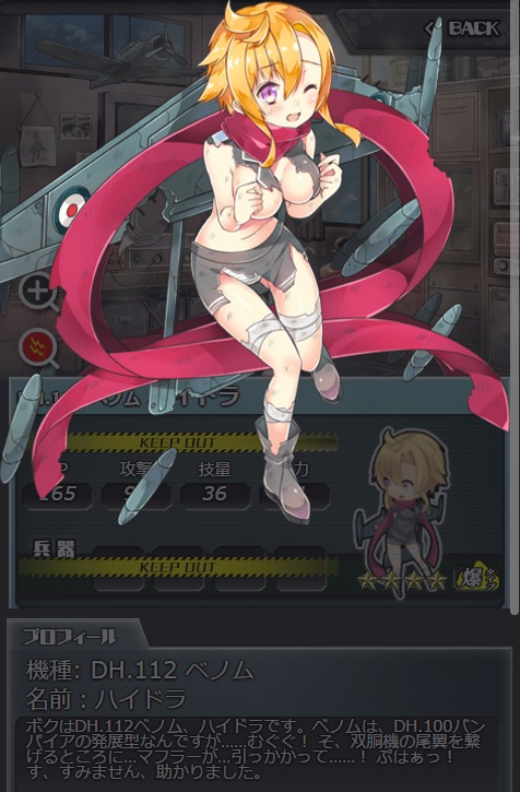 210_damaged.jpg