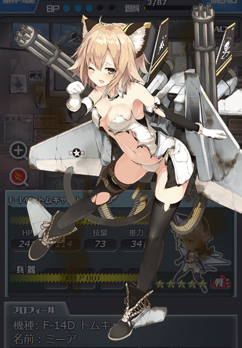 173_damaged.jpg