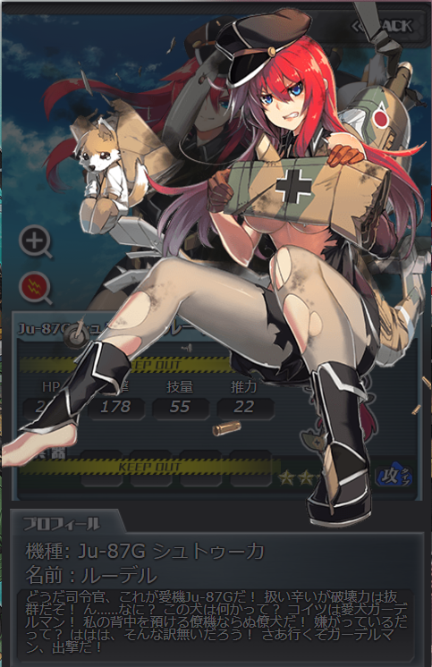 Gルーデル大破.png