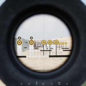 DZJ08_sight.jpg