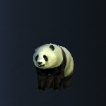 panda0.png