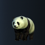 panda1.png