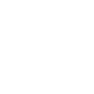 パッシブ・アビリティ_BB-9E.png