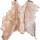 DeerSkin.png