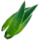 Aloe.png