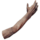 Arm.png