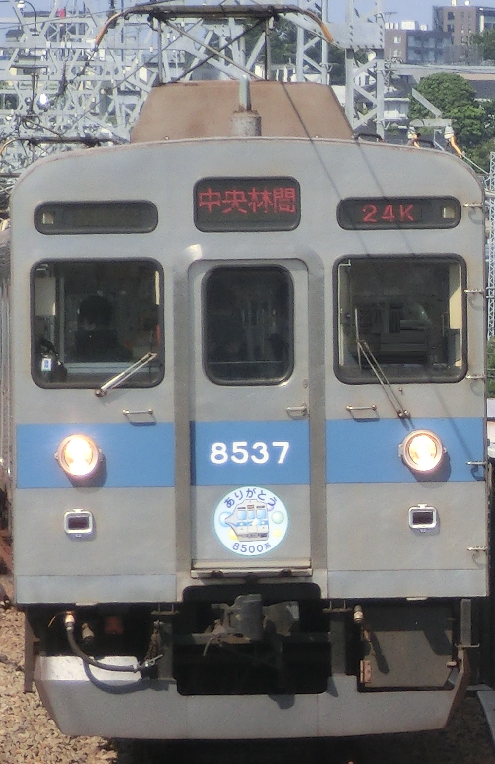 Tk-8637-22.jpg