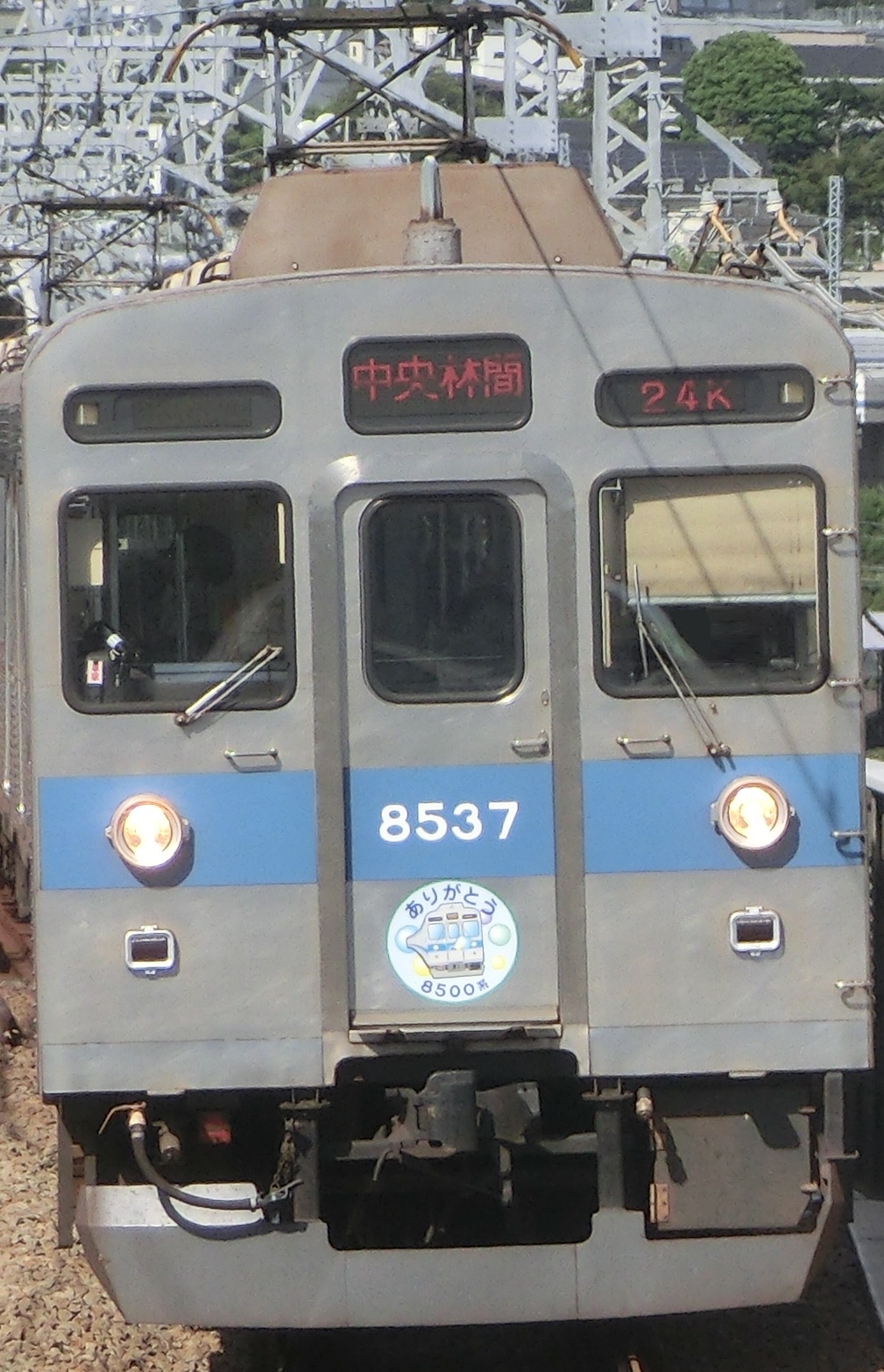 Tk-8637-23.jpg