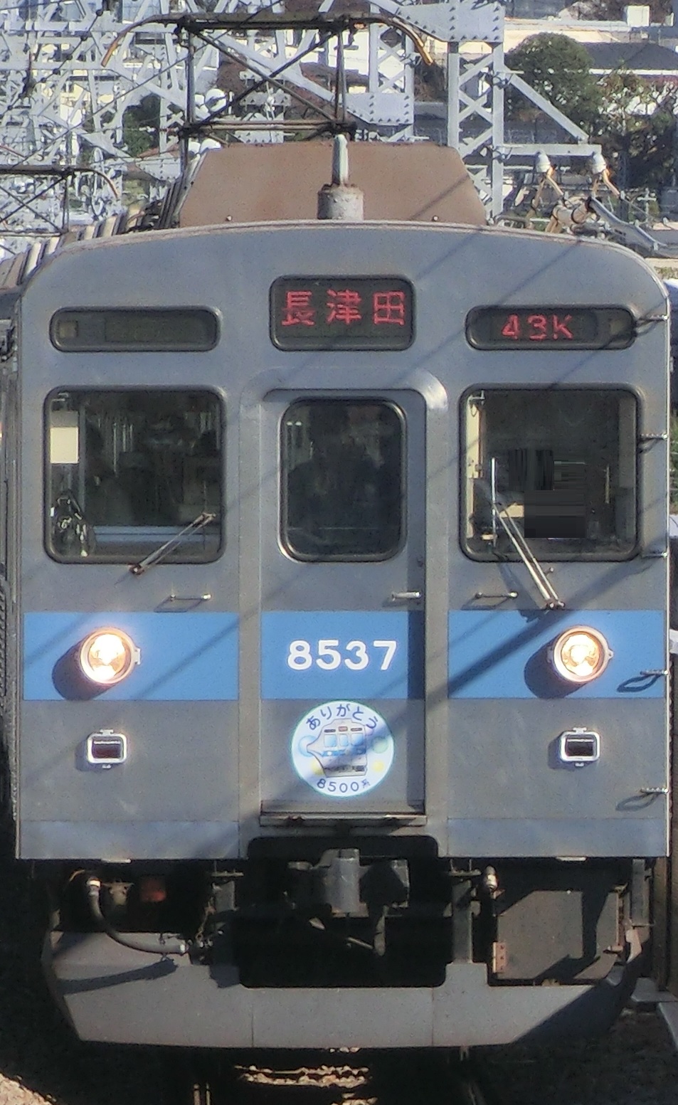 Tk-8637-30.jpg