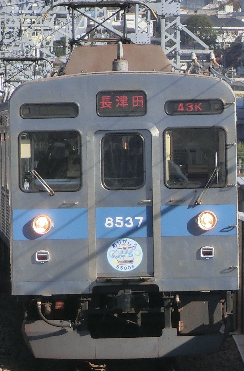 Tk-8637-35.jpg