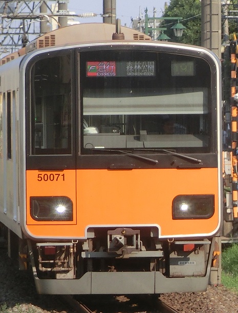 tb51071.jpg