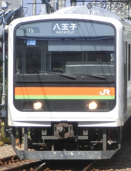 209-ハエ61.jpg