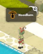 Hoodlum.jpg