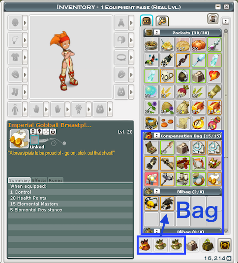 bag.png