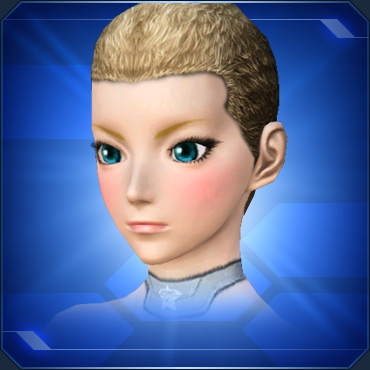 エステ その他 メイク Pso2 ファンタシースターオンライン2 攻略 Wiki