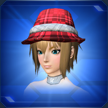 エステ アクセサリー 頭部上段 Pso2 ファンタシースターオンライン2 攻略 Wiki