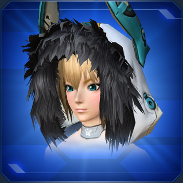 エステ アクセサリー 頭部上段 Pso2 ファンタシースターオンライン2 攻略 Wiki