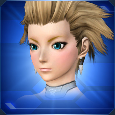 エステ アクセサリー 頭部中段 ブロック表示 Pso2 ファンタシースターオンライン2 攻略 Wiki