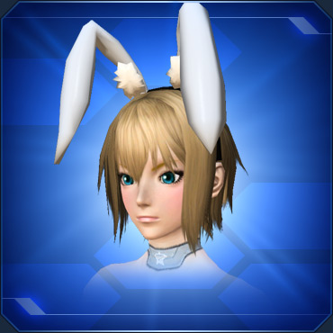 エステ アクセサリー 頭部小物 Pso2 ファンタシースターオンライン2 攻略 Wiki