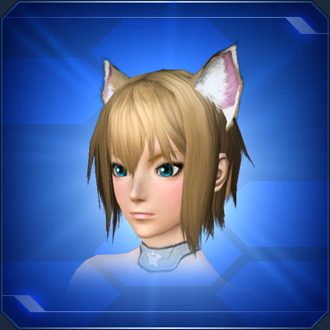 エステ アクセサリー 頭部小物 Pso2 ファンタシースターオンライン2 攻略 Wiki