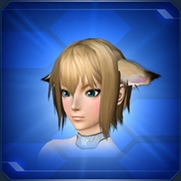 エステ アクセサリー 頭部小物 Pso2 ファンタシースターオンライン2 攻略 Wiki