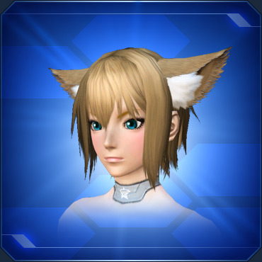 エステ アクセサリー 頭部小物 ブロック表示 Pso2 ファンタシースターオンライン2 攻略 Wiki