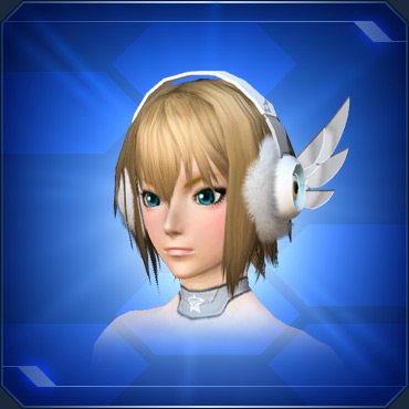 エステ アクセサリー 頭部小物 Pso2 ファンタシースターオンライン2 攻略 Wiki