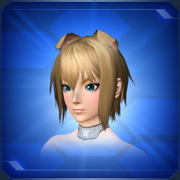 エステ アクセサリー 頭部小物 Pso2 ファンタシースターオンライン2 攻略 Wiki