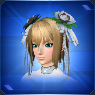 エステ アクセサリー 頭部小物 Pso2 ファンタシースターオンライン2 攻略 Wiki