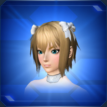 エステ アクセサリー 頭部小物 Pso2 ファンタシースターオンライン2 攻略 Wiki