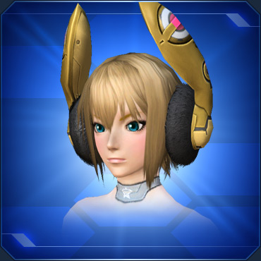 エステ アクセサリー 頭部小物 Pso2 ファンタシースターオンライン2 攻略 Wiki