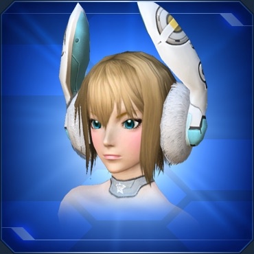 エステ アクセサリー 頭部小物 Pso2 ファンタシースターオンライン2 攻略 Wiki