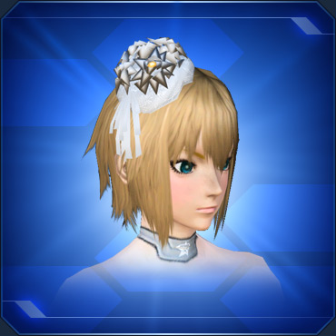 エステ アクセサリー 頭部小物 Pso2 ファンタシースターオンライン2 攻略 Wiki