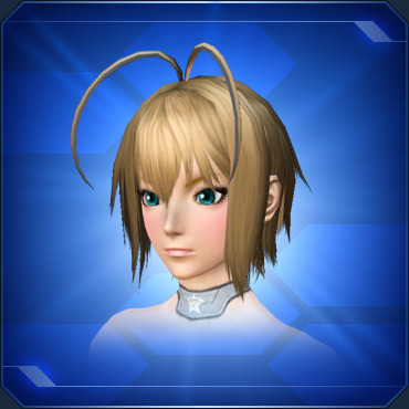 エステ アクセサリー 頭部小物 Pso2 ファンタシースターオンライン2 攻略 Wiki