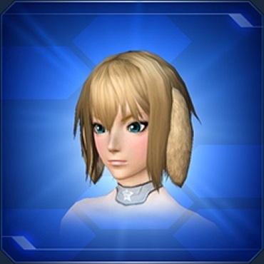 エステ アクセサリー 頭部小物 Pso2 ファンタシースターオンライン2 攻略 Wiki