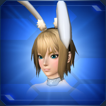 エステ アクセサリー 頭部小物 Pso2 ファンタシースターオンライン2 攻略 Wiki