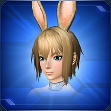 エステ アクセサリー 頭部小物 Pso2 ファンタシースターオンライン2 攻略 Wiki