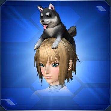 頭乗り子犬　黒.jpg
