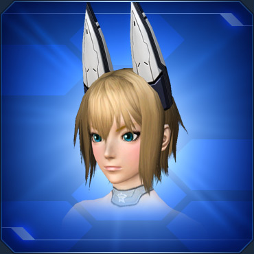 エステ アクセサリー 頭部小物 Pso2 ファンタシースターオンライン2 攻略 Wiki