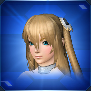 エステ ヘアスタイル ブロック表示 Pso2 ファンタシースターオンライン2 攻略 Wiki