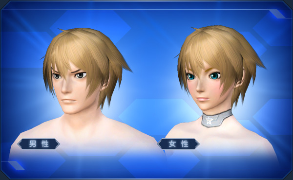 エステ ヘアスタイル ブロック表示 Pso2 ファンタシースターオンライン2 攻略 Wiki