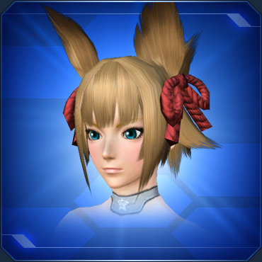 エステ ヘアスタイル ブロック表示 Pso2 ファンタシースターオンライン2 攻略 Wiki