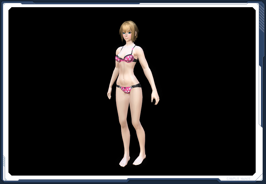 コスチューム パーツ 女性用 レイヤリングウェア 全種族 Pso2 ファンタシースターオンライン2 攻略 Wiki