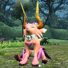 ペット Pso2 ファンタシースターオンライン2 攻略 Wiki