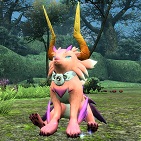 ペット Pso2 ファンタシースターオンライン2 攻略 Wiki