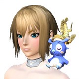 肩乗り金シャチラッピー.jpg