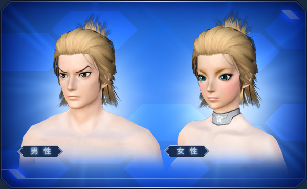 エステ ヘアスタイル ブロック表示 Pso2 ファンタシースターオンライン2 攻略 Wiki