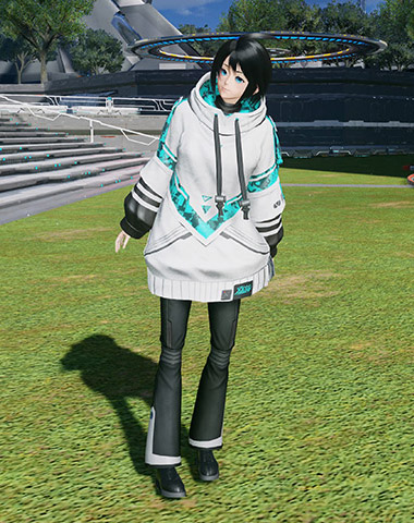 サイザーシルエッタ Pso2 ニュージェネシス Pso2 Ngs 攻略 Wiki