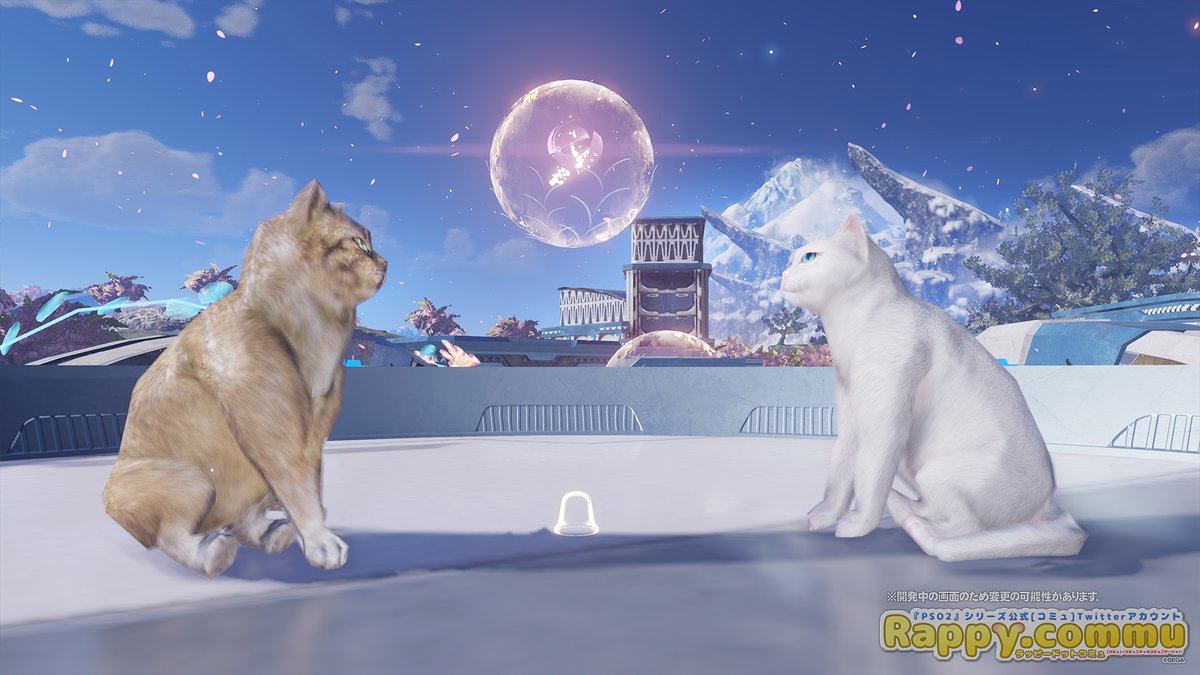 ボス猫と白猫関連_2022年03月.jpg