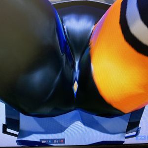 画面直撮りだがほら、菱形になんかあるんだよな。